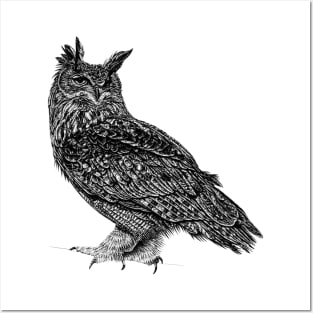 Eurasian eagle owl Posters and Art